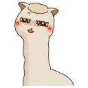 Llama
