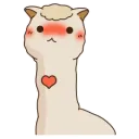 llama