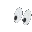 eyes3