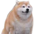 FatShiba