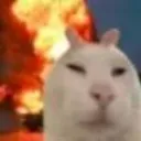 catExplosion