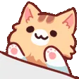 nko_bongo