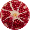 1_pomegranate 1_pomegranate
