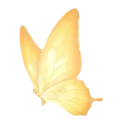 2_butterfly