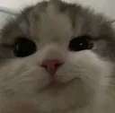 catsmirk