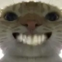 cat_smile