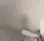 SH_cat_slap