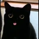 emoji_202