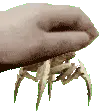 hunterpet