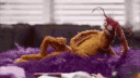 pepekingprawn animated Discord emote - Tᕼᕮ ᗯᕮIᖇᗪ ᖴ᙭᙭KᕮᖇS