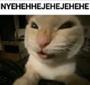 evilcat
