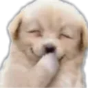 woofgiggle