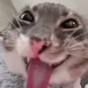 freaky_rigby freaky_rigby
