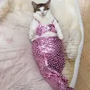 MermaidBao