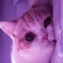 masoom_bilota