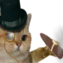 richcat