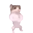 catpls