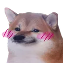 DogeBlush_owohub
