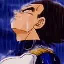 59491vegeta