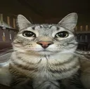 LB_Dafurk