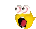 AWOOGA AWOOGA