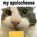 apolocheese