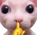 shh