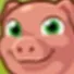 piggyjudge