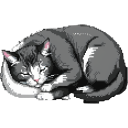 cat_sleeping Discord emoji