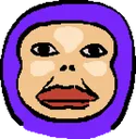capuchin_stare capuchin_stare