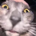 great_googly_moogly