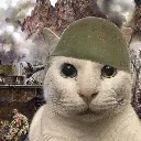 My_war_reaction