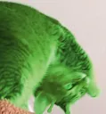 glorpcat