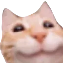 3_