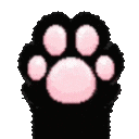 BlackPaw