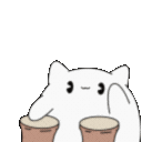 Bongo