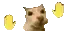 cathandwavedance