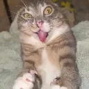 freaky_rigby
