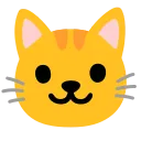 catcat catcat