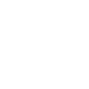 regulusico