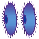 nileyes