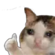 ogey ogey