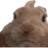 VIBEOFF