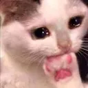 rbh_c_huhu