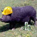 worker_pig