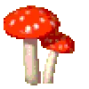 mushrooms