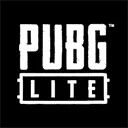 pubg_pc_lite