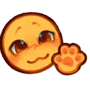 IkkiShyWaveNyaa