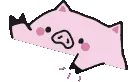 Bongopig