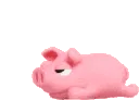 SleepyPig